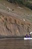 Japanese Sika Deer on the shores of Speiden Island